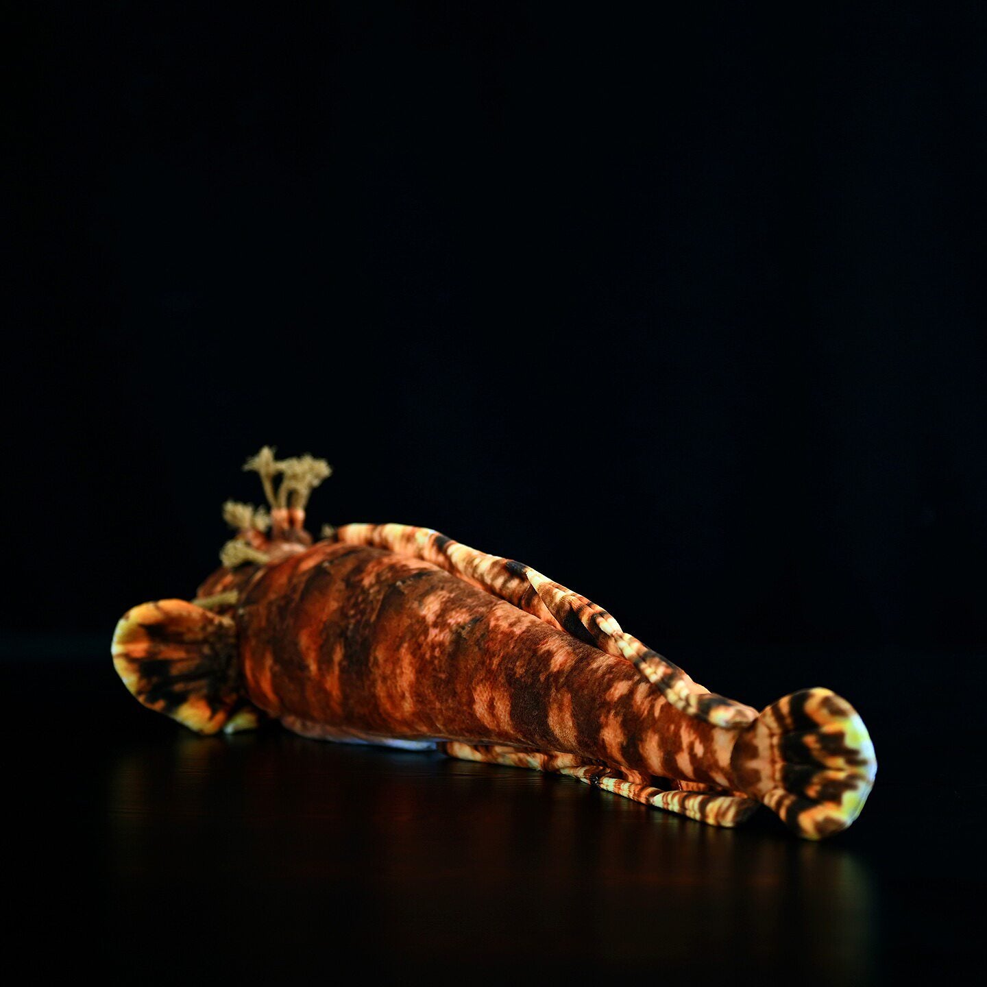 Japanese Warbonnet Fish Soft Stuffed Plush Toy