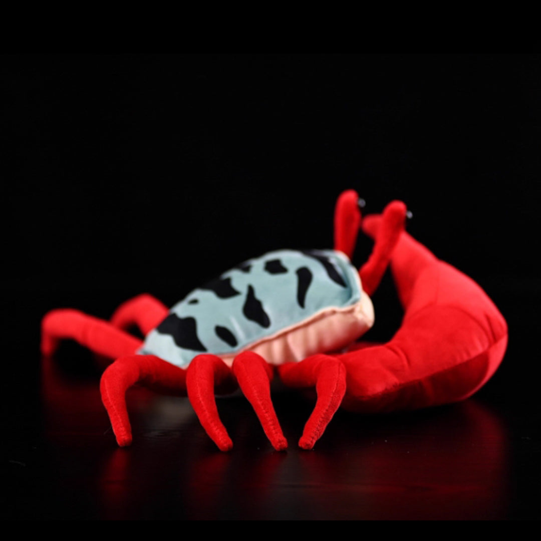 Fiddler Crab Soft Stuffed Plush Toy