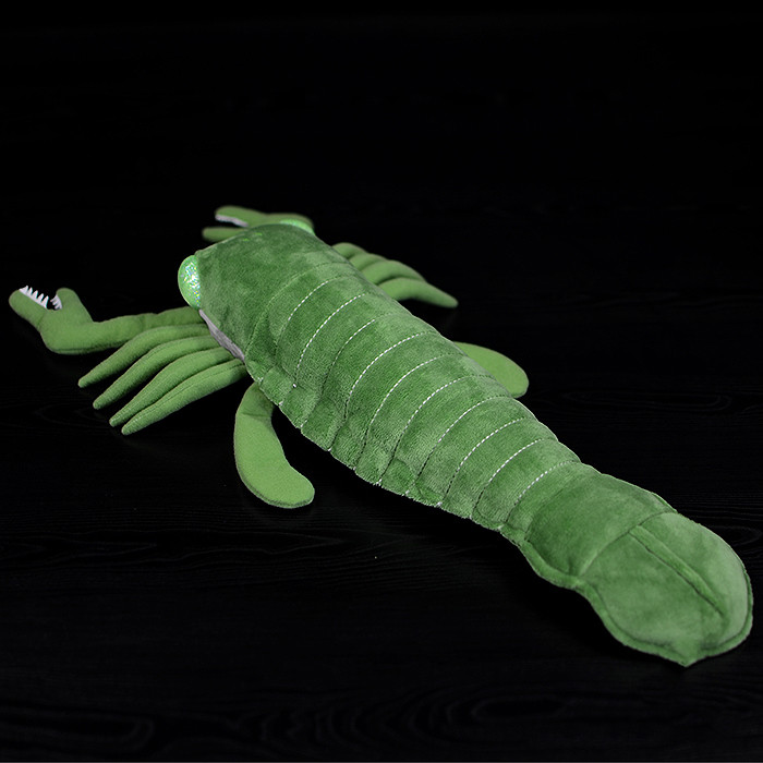 Pterygotus Soft Stuffed Plush Toy