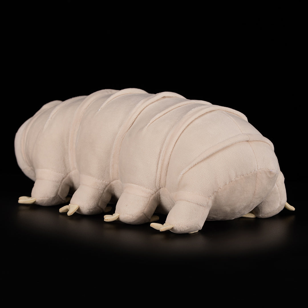 Tardigrade Water Bear Soft Stuffed Plush Toy