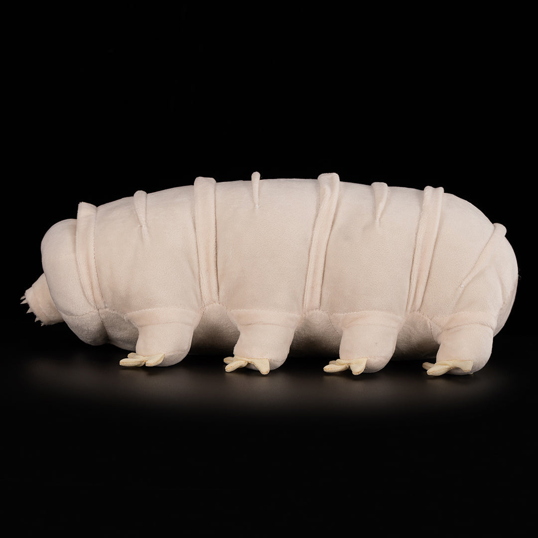 Tardigrade Water Bear Soft Stuffed Plush Toy