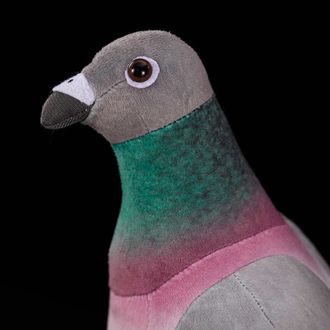 Common Pigeon Bird Soft Stuffed Plush Toy