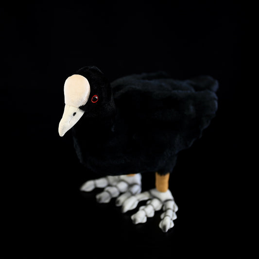 Eurasian Coot Bird Stuffed Plush Toy