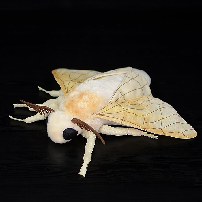 Silk Moth Soft Stuffed Plush Toy