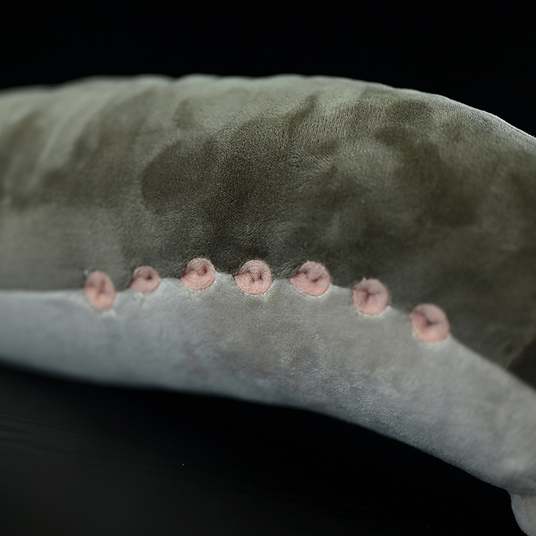 Sea Lamprey Soft Stuffed Plush Toy