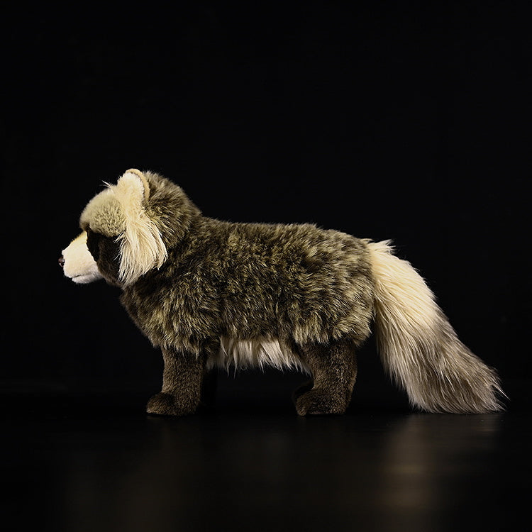 Common Raccoon Dog Soft Stuffed Plush Toy