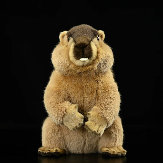 Marmot Soft Stuffed Plush Toy