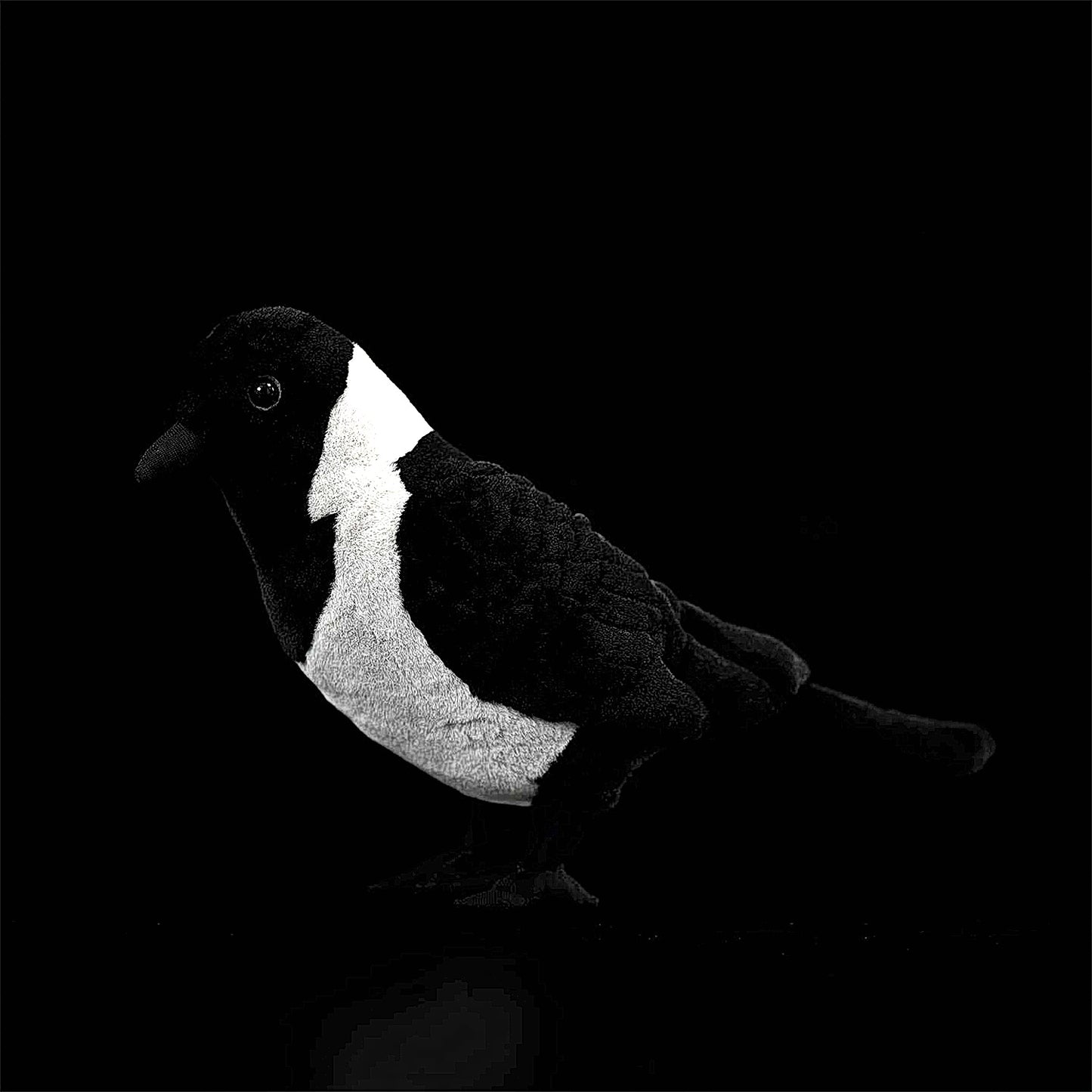 Daurian Jackdaw Soft Stuffed Plush Toy