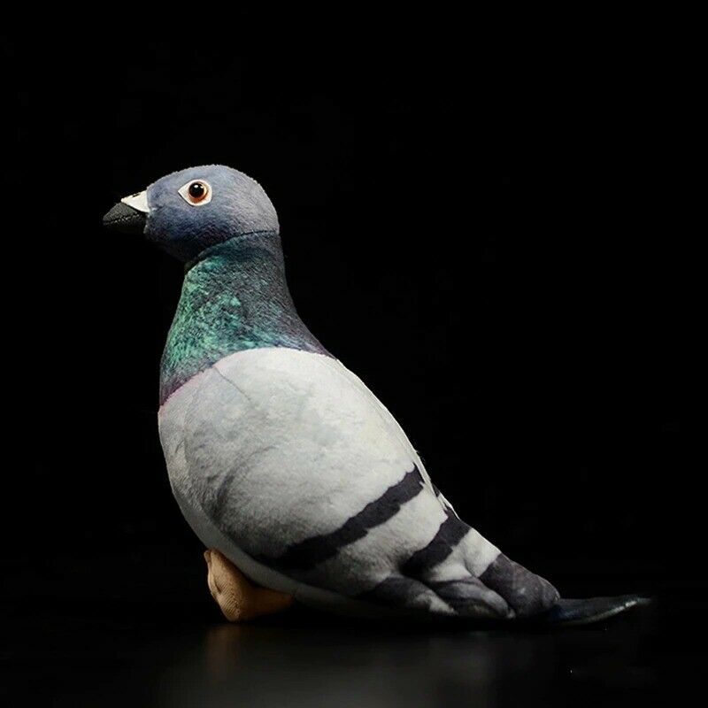 Common Pigeon Bird Soft Stuffed Plush Toy