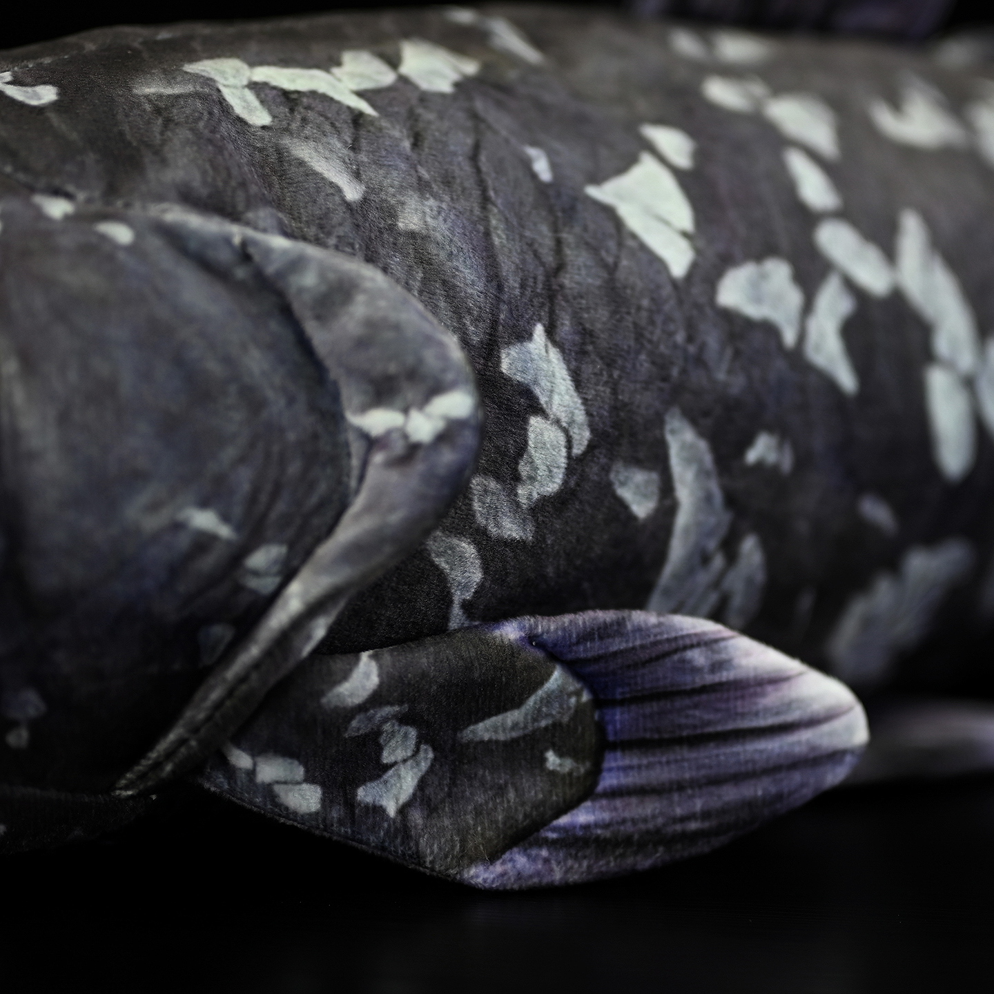 Coelacanth Fish Soft Stuffed Plush Toy