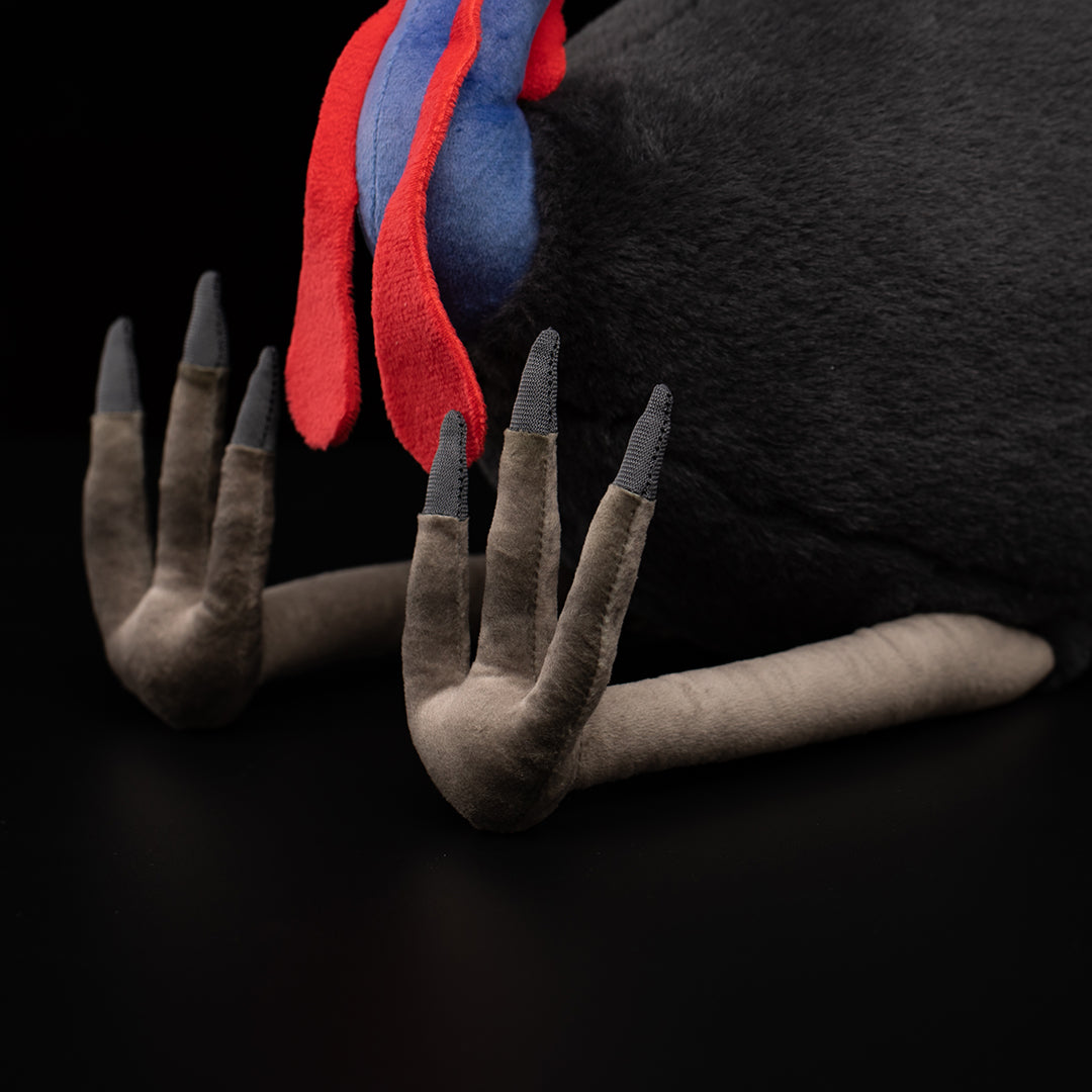 Southern Cassowary Soft Stuffed Plush Toy