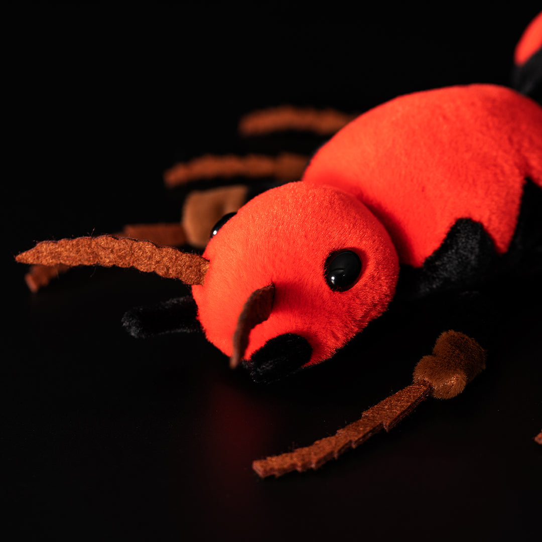 Red Velvet Ant Stuffed Plush Toy