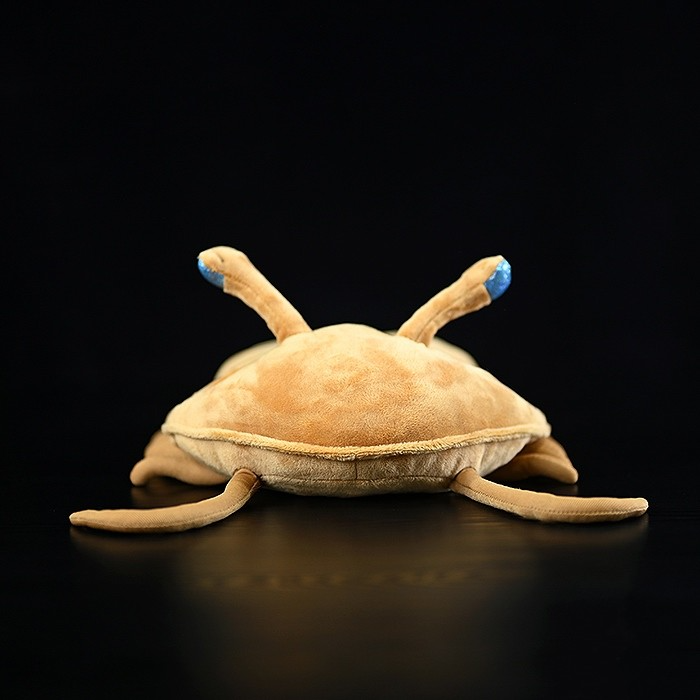 Asaphus Kowalewskii Trilobite Soft Stuffed Plush Toy