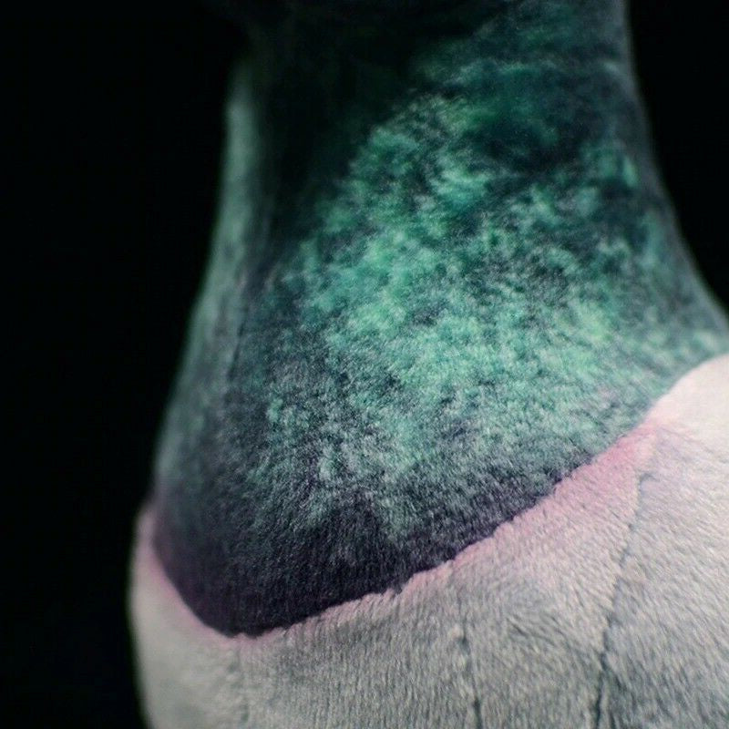 Common Pigeon Bird Soft Stuffed Plush Toy