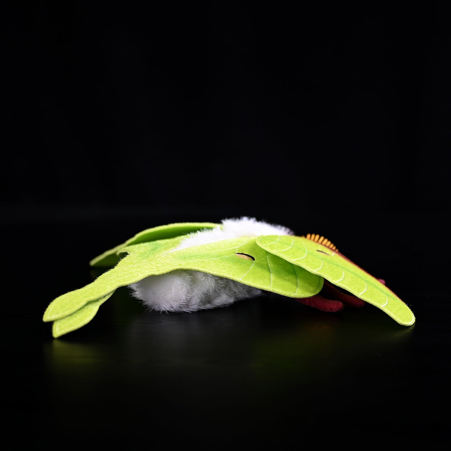 Indian Moon Moth Soft Stuffed Plush Toy