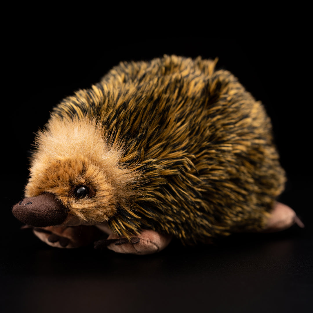 Echidna Soft Stuffed Plush Toy