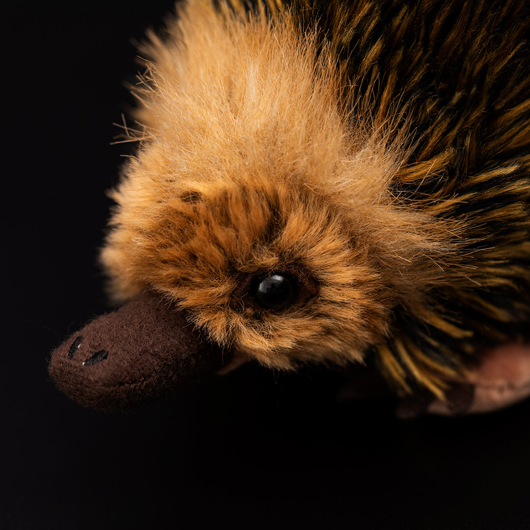Echidna Soft Stuffed Plush Toy