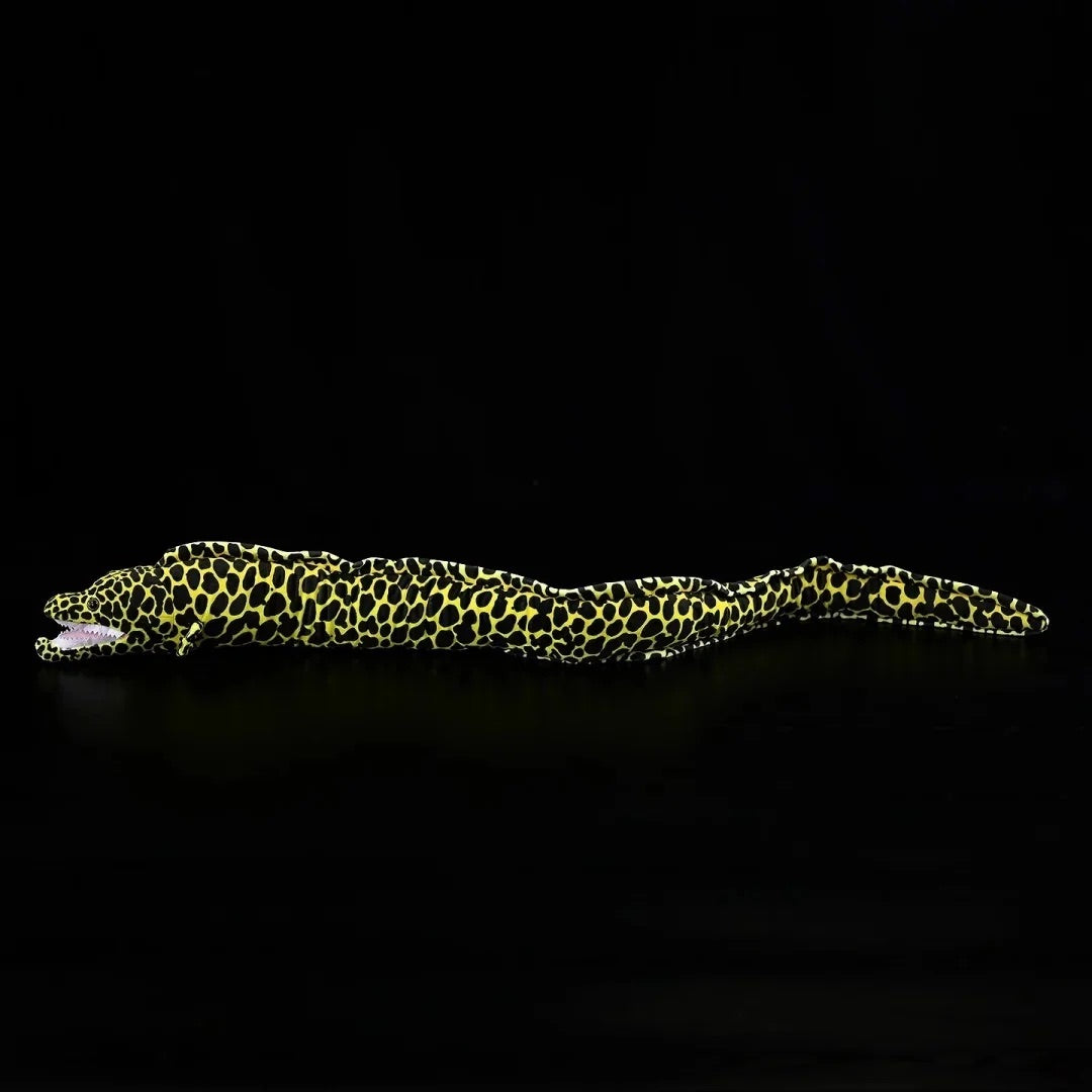 Honeycomb Moray Eel Soft Stuffed Plush Toy