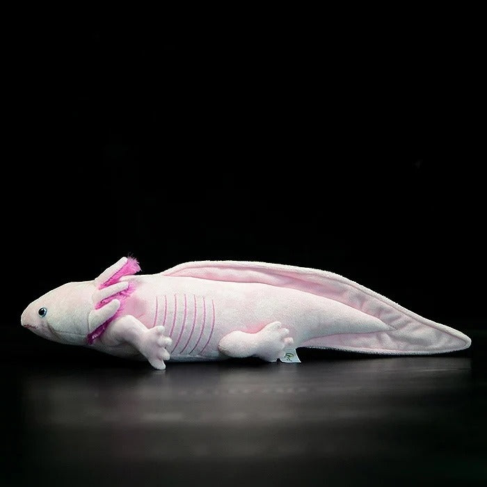 Pink Axolotl Soft Stuffed Plush Toy