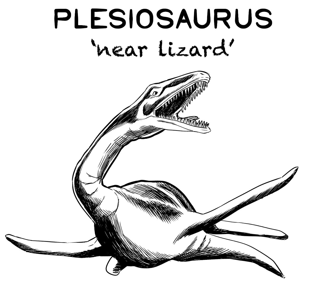 Plesiosaurus Marine Reptile Unisex T-Shirt