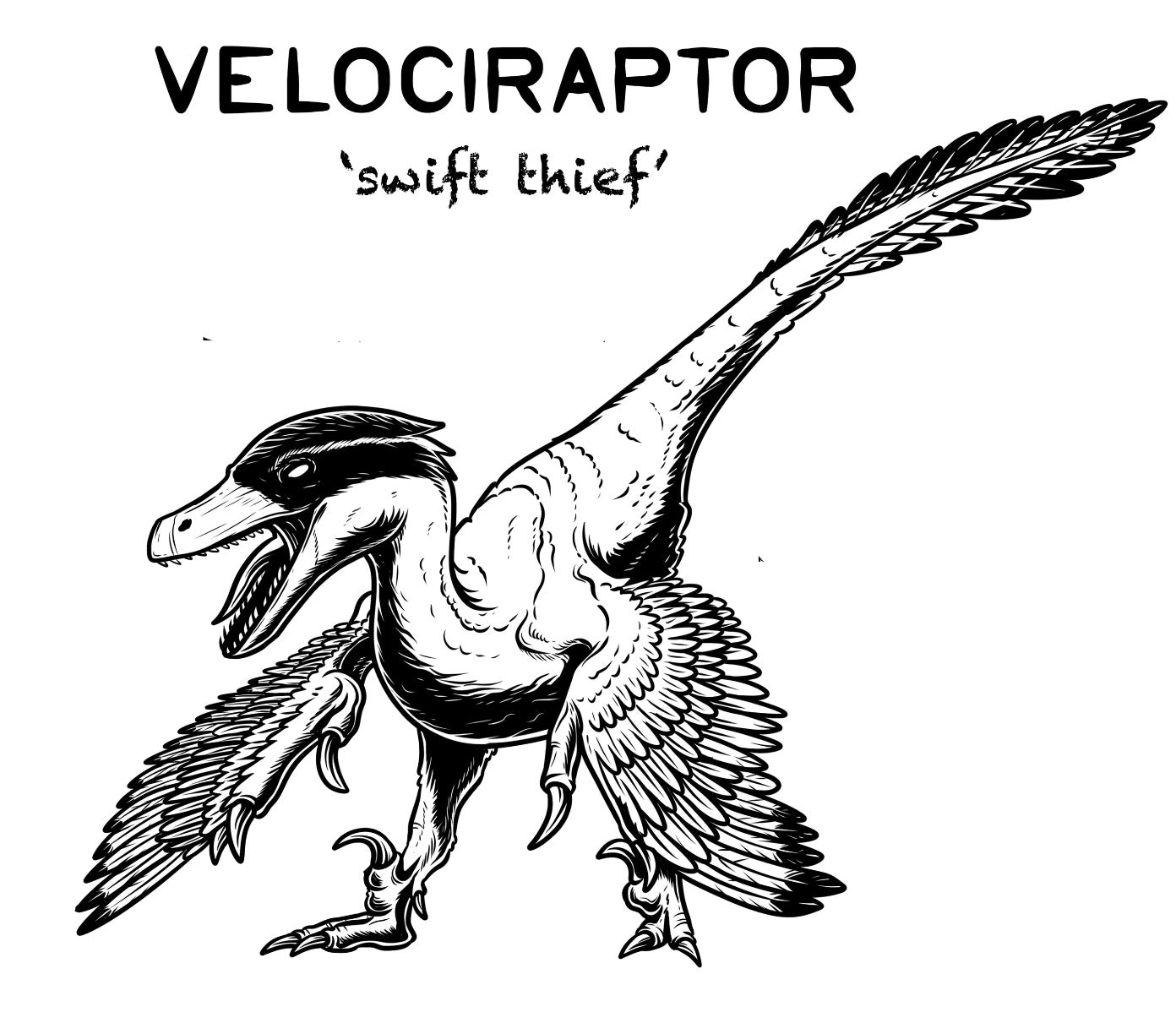 Velociraptor Dinosaur Unisex T-Shirt