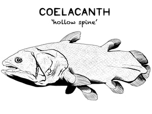 Coelacanth Prehistoric Fish Unisex T-Shirt