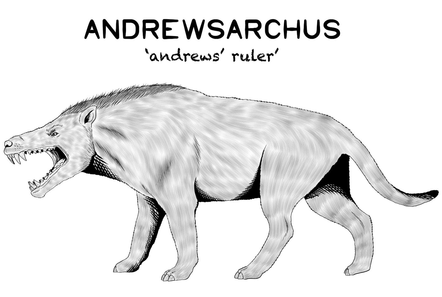 Andrewsarchus Prehistoric Mammal Unisex T-Shirt