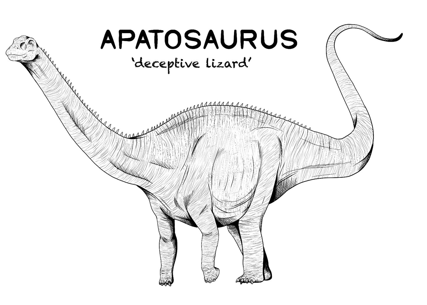 Apatosaurus Dinosaur Unisex T-Shirt