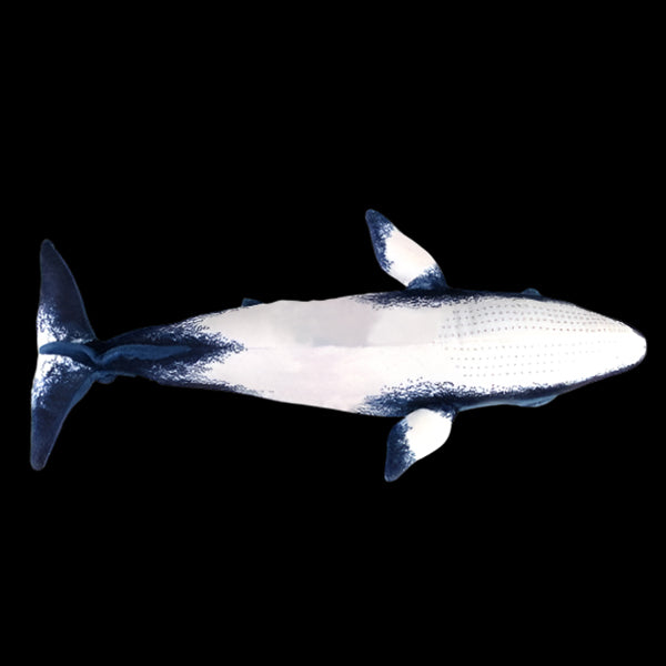 Minke Whale Soft Stuffed Plush Toy