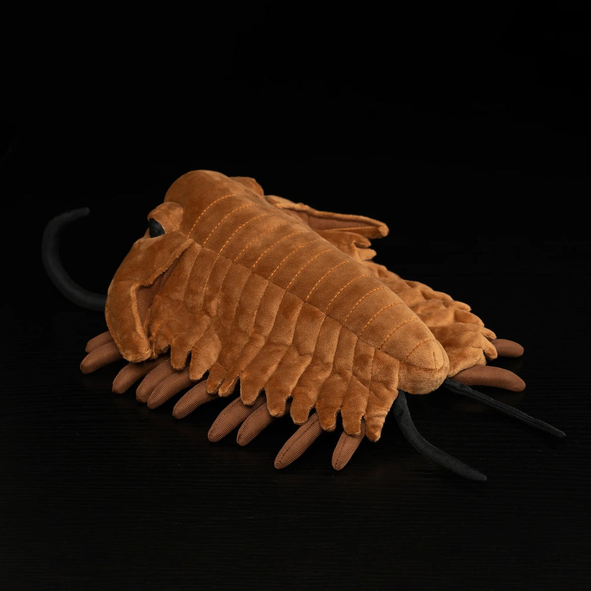 Trilobite Arthropod Soft Stuffed Plush Toy