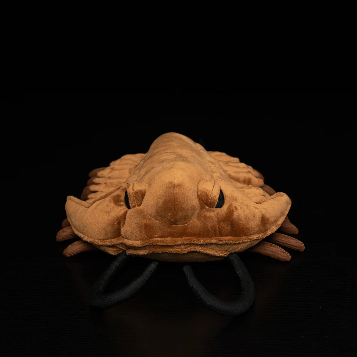 Trilobite Arthropod Soft Stuffed Plush Toy