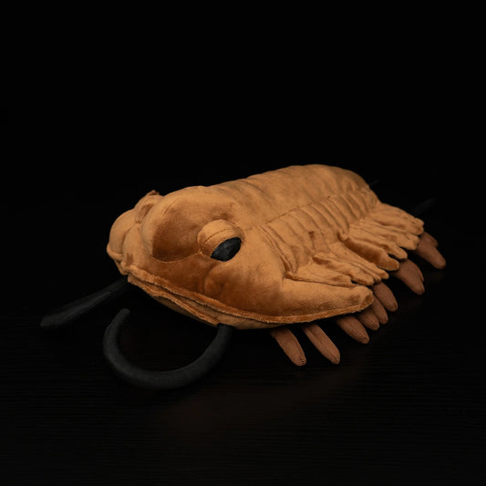 Růžová měkká plyšová hračka Axolotl