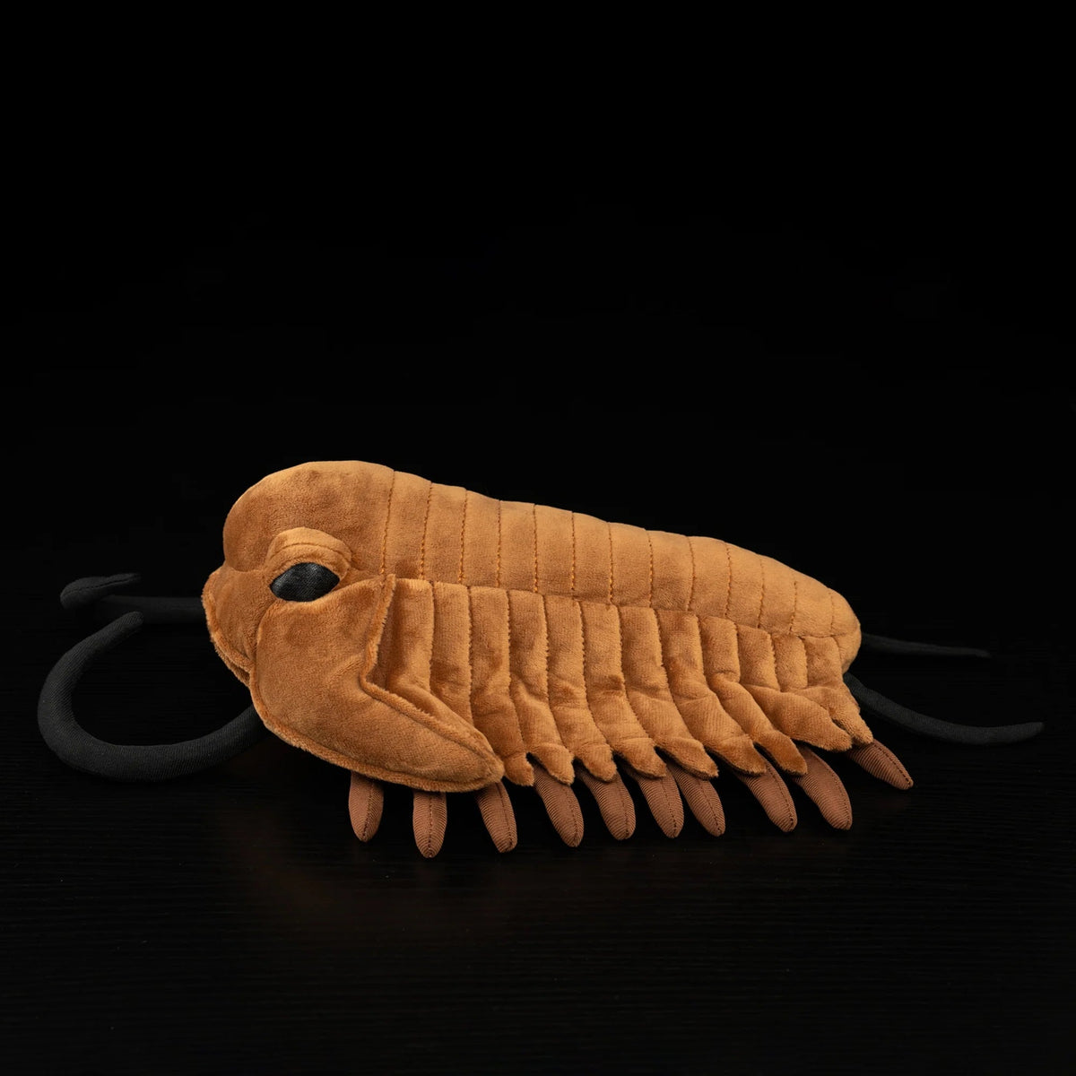 Trilobite Arthropod Soft Stuffed Plush Toy