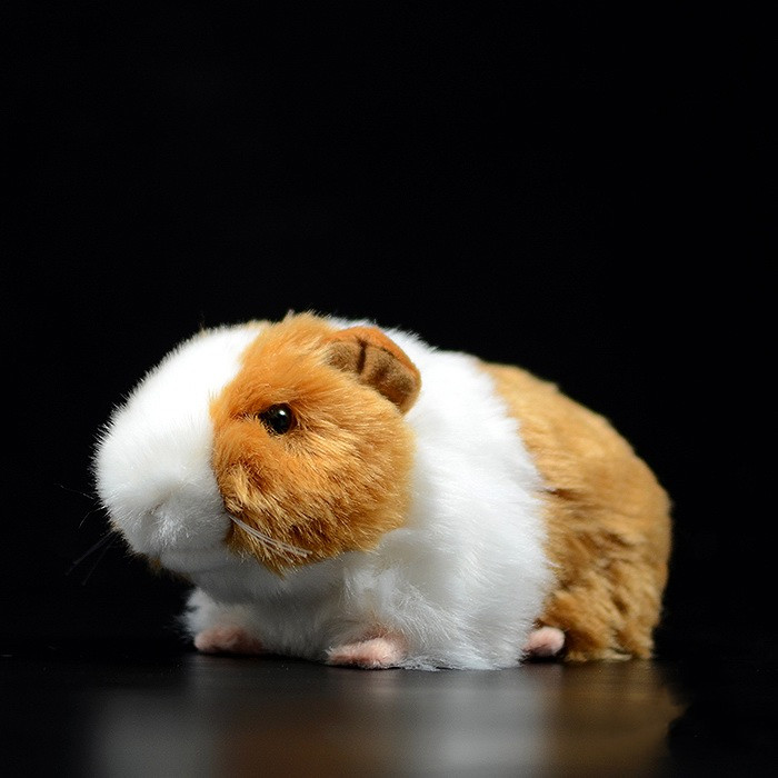 Guinea Pig Soft Stuffed Plush Toy