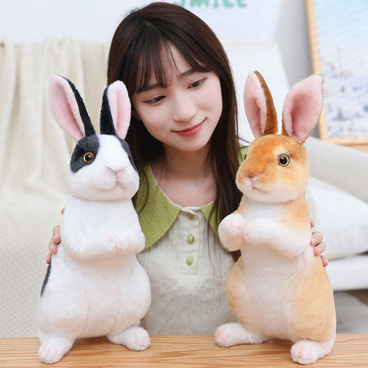 Bunny Rabbits Soft Stuffed Plush Toy