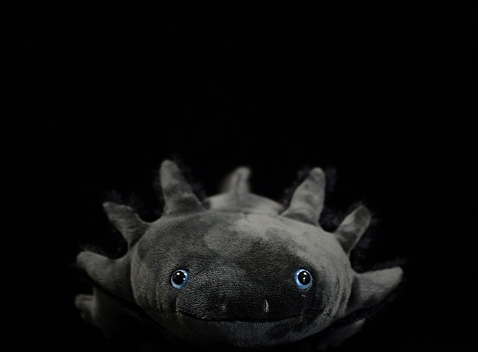 Brinquedo de pelúcia macio de pelúcia axolotl preto