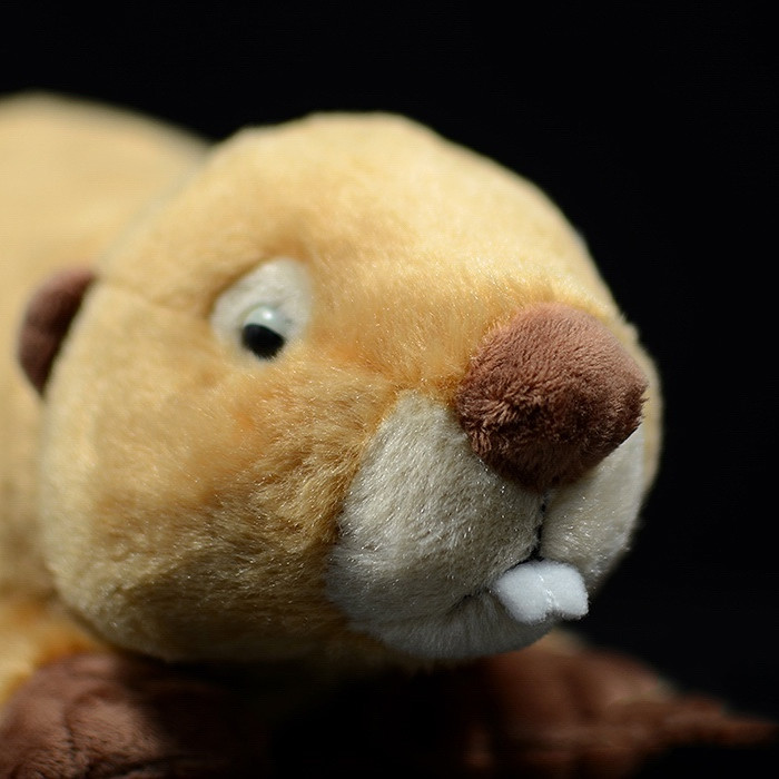 Beaver Soft Stuffed Plush Toy