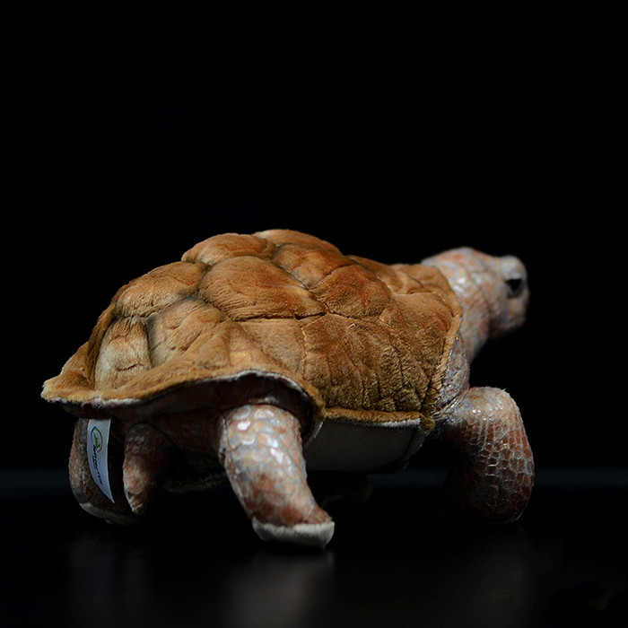 Galapagos-Schildkröte, weiches Plüschtier