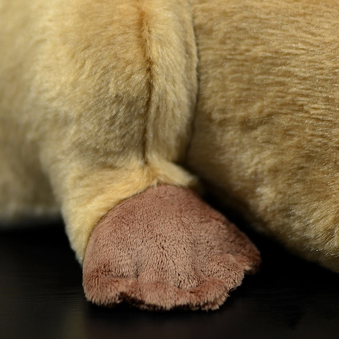 Beaver Soft Stuffed Plush Toy