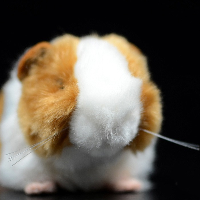 Guinea Pig Soft Stuffed Plush Toy