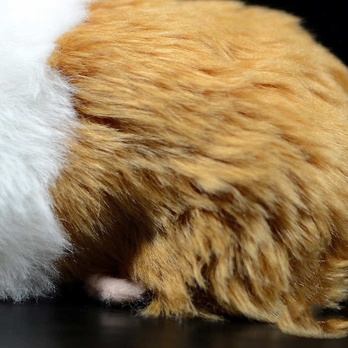 Guinea Pig Soft Stuffed Plush Toy