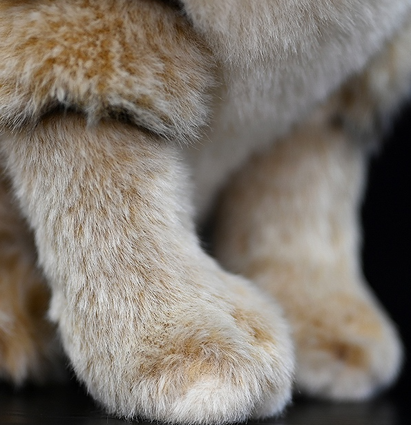 Brinquedo de pelúcia macio de pelúcia de gato da estepe realista de Pallas