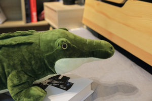 Green Crocodile Soft Stuffed Plush Toy