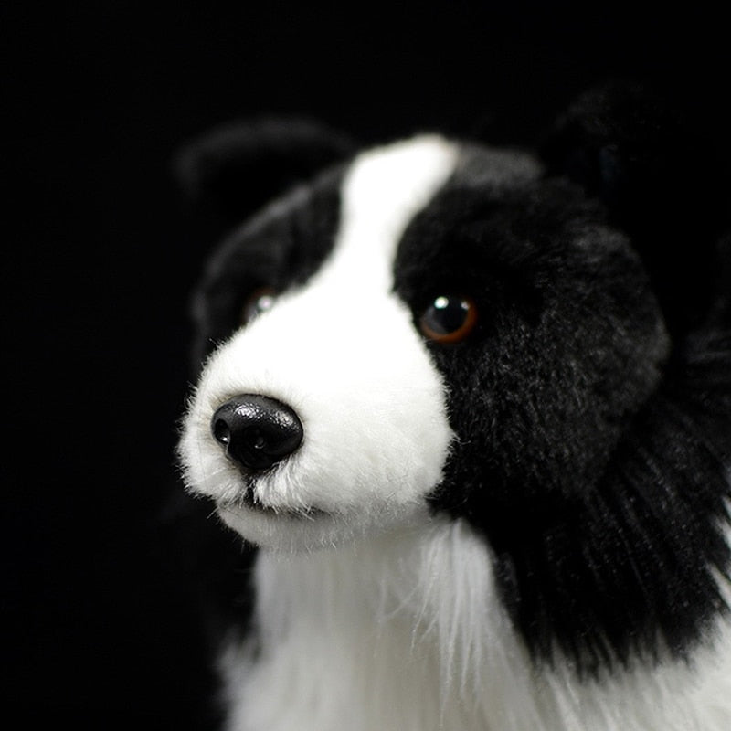 Border Collie Dog Soft Stuffed Plush Toy