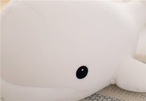 Huggable White Whale Soft Stuffed Plush Toy