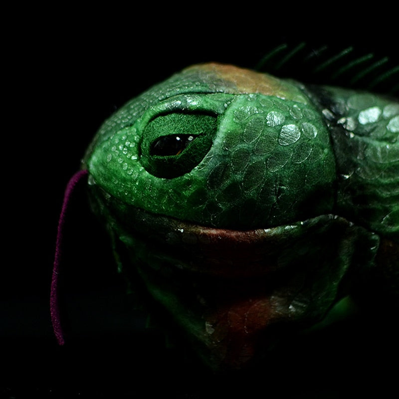 Green Iguana Lizard Soft Stuffed Plush Toy