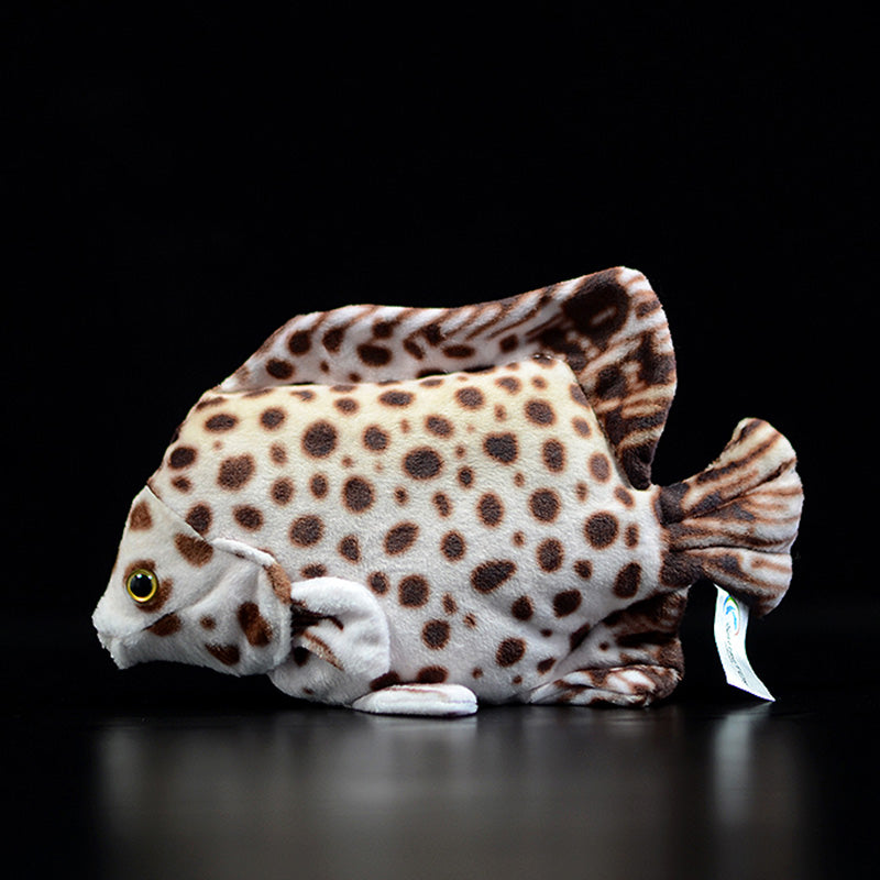 Spotted Scat Fish Soft Stuffed Plush Toy