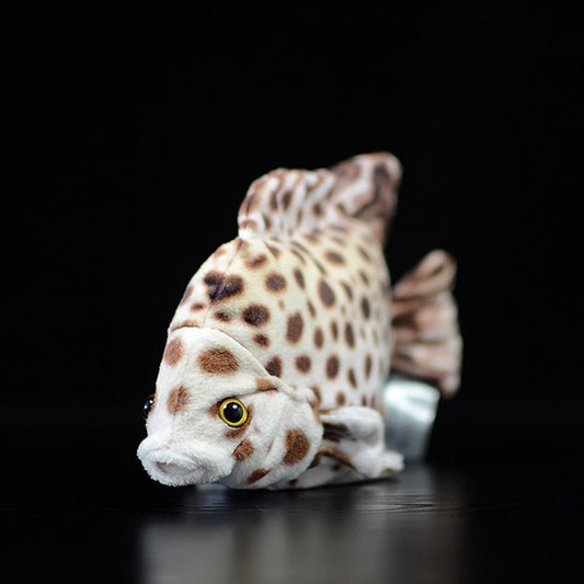 Spotted Scat Fish Soft Stuffed Plush Toy