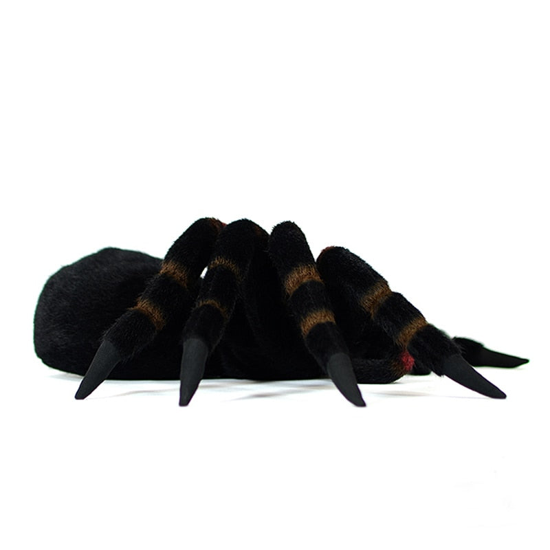 Tarantula Spider Soft Stuffed Plush Toy