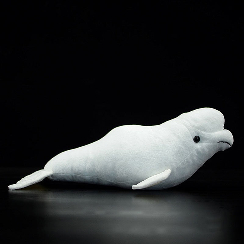 Beluga White Whale Weiches Plüschtier